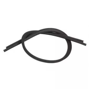 Baguette et bande protectrice, pare-brise avant droit BLIC 5703-04-6037693Q