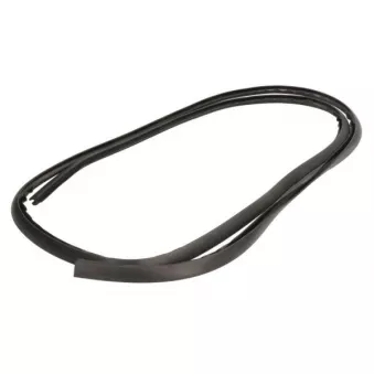 Baguette et bande protectrice, pare-brise avant droit BLIC 5703-04-6037695Q