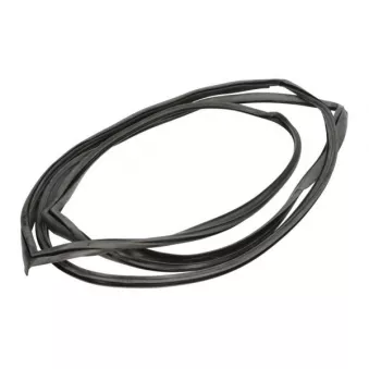 Baguette et bande protectrice, pare-brise avant droit BLIC 5703-04-6037715Q pour PEUGEOT 405 1.9 - 95cv