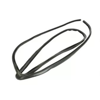 Baguette et bande protectrice, pare-brise avant droit BLIC 5703-04-6037726Q pour ABARTH 500C / 595C / 695C 2.0 JTD 16V - 110cv