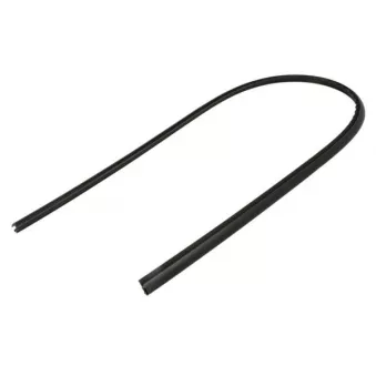 Baguette et bande protectrice, pare-brise avant droit BLIC 5703-04-6037871Q