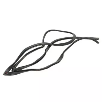 Cadre de pare-brise BLIC 5703-04-6037885Q pour TOYOTA COROLLA 2.0 D-4D - 90cv