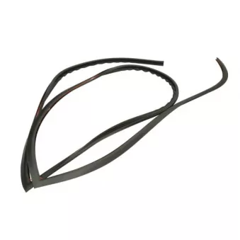 Baguette et bande protectrice, pare-brise avant droit BLIC [5703-04-6037914Q]