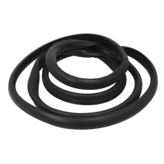 Joint d'étanchéité, pare-brise avant droit BLIC 5703-04-6038000Q