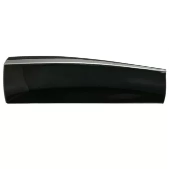 Baguette et bande protectrice, porte arrière gauche BLIC [5703-04-7807577P]