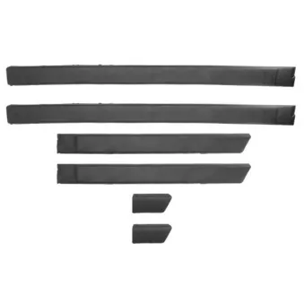 Baguette et bande protectrice, porte BLIC 5703-04-9521575CP pour CADILLAC CTS 1.8 i Syncro CAT - 90cv