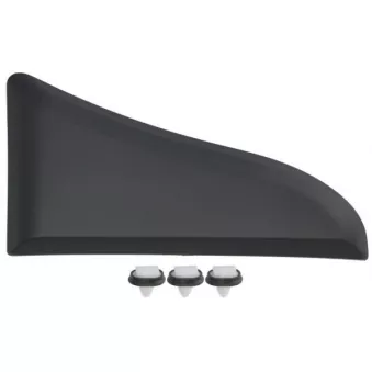 Baguette et bande protectrice, aile avant gauche BLIC 5703-06-2097573P pour PORSCHE CAYENNE 2.8 JTD - 128cv