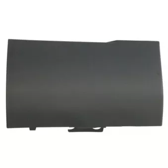 BLIC 5703-08-6460372P - Baguette et bande protectrice, aile avant droit