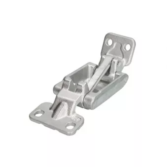 Charnière de porte BLIC 6004-00-3548242P pour MERCEDES-BENZ T1 519 CDI Traction intégrale 190cv