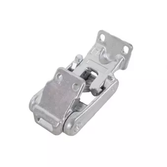 Charnière de porte BLIC 6004-00-3548243P