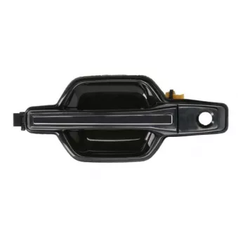 Poignée extérieure de porte avant gauche BLIC 6010-15-0933401P