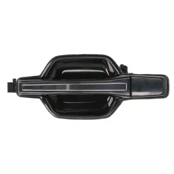 Poignée extérieure de porte avant gauche BLIC 6010-15-0933403P