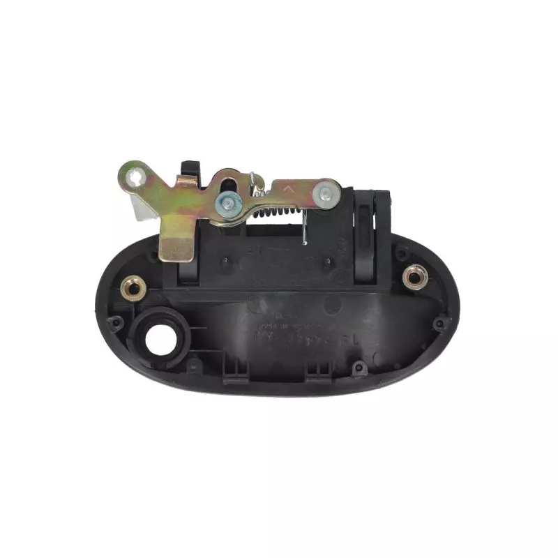 Poignée extérieure de porte avant gauche BLIC 6010-20-001401PP - Visuel 1