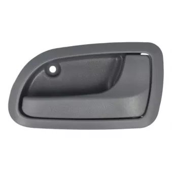 Poignet de porte, équipment intérieur BLIC 6010-53-017408P