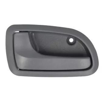 Poignet de porte, équipment intérieur avant gauche BLIC 6010-53-017409P