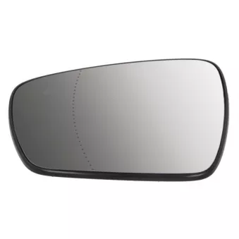 Verre de rétroviseur, rétroviseur extérieur BLIC 6102-09-2002142P