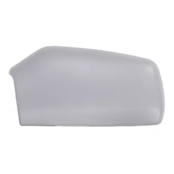 Boitier, rétroviseur extérieur BLIC 6103-01-1321351P