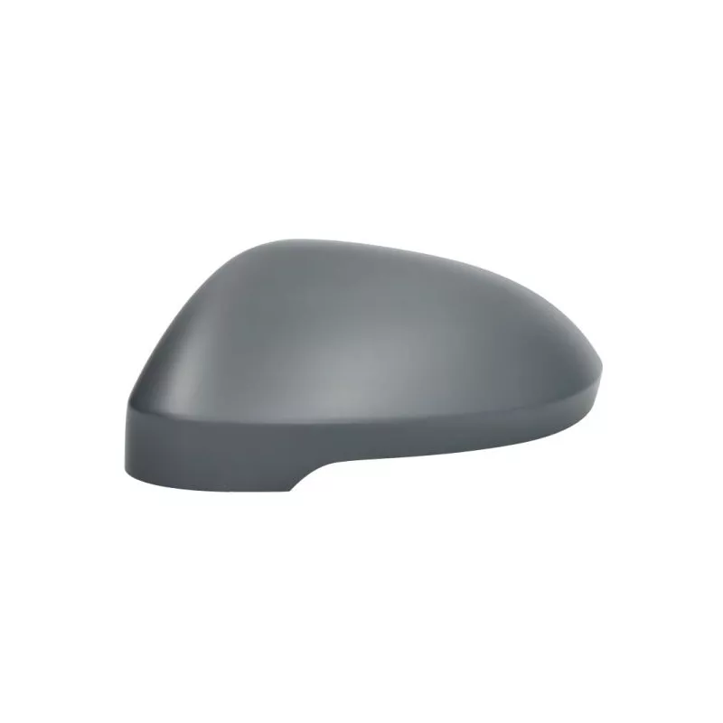 Revêtement, rétroviseur extérieur BLIC 6103-01-2555310P - Visuel 1