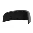 Revêtement, rétroviseur extérieur BLIC [6103-03-2402310P]