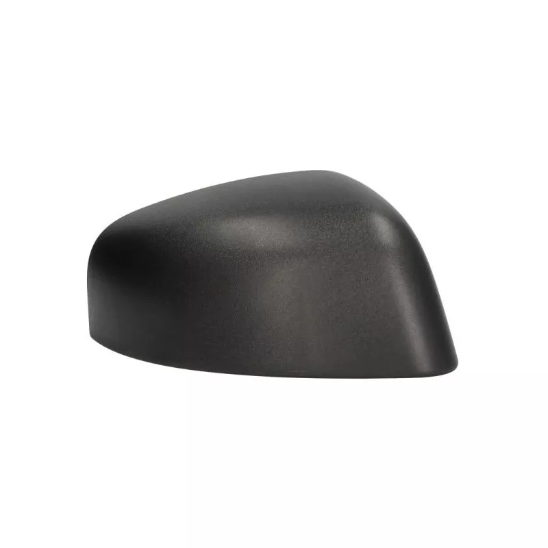 Revêtement, rétroviseur extérieur BLIC 6103-03-2402311P - Visuel 1