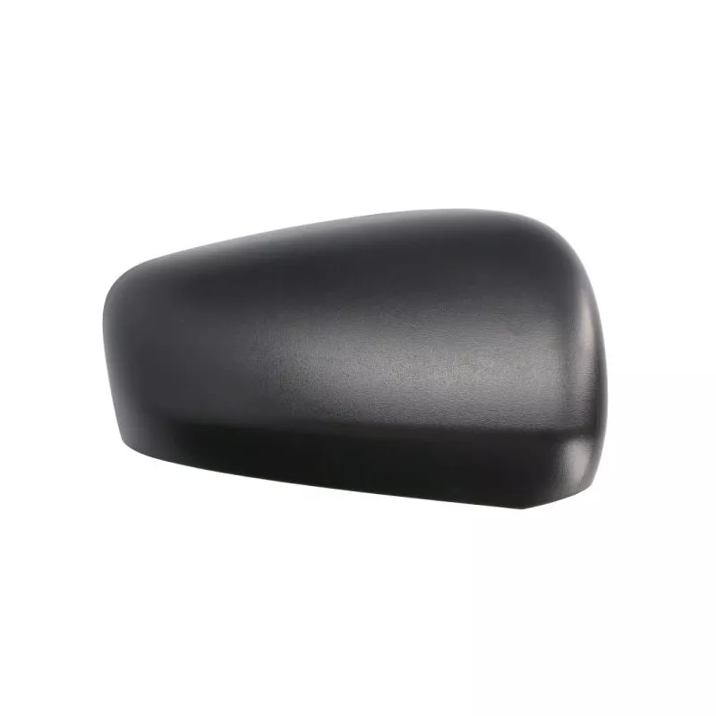 Revêtement, rétroviseur extérieur BLIC 6103-09-2434311P - Visuel 1