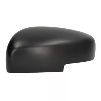 Revêtement, rétroviseur extérieur BLIC OEM 8472852R40ZMV