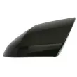Revêtement, rétroviseur extérieur BLIC [6103-20-2737310P]