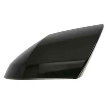 Revêtement, rétroviseur extérieur BLIC OEM 87616GI000