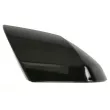Revêtement, rétroviseur extérieur BLIC [6103-20-2737311P]