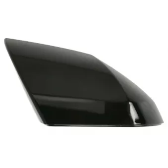 Revêtement, rétroviseur extérieur BLIC OEM 87626GI000