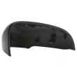 Revêtement, rétroviseur extérieur BLIC [6103-24-1523313P]