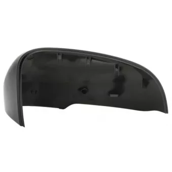 Revêtement, rétroviseur extérieur BLIC 6103-24-1523313P