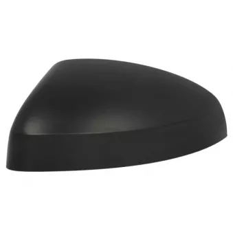 Revêtement, rétroviseur extérieur BLIC 6103-25-1629310P