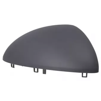 Revêtement, rétroviseur extérieur BLIC 6103-52-1179311P pour VOLKSWAGEN TRANSPORTER - COMBI 3.0 D - 239cv