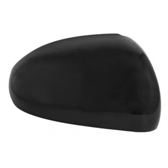 Revêtement, rétroviseur extérieur BLIC 6103-53-0655311P