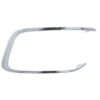 Baguette et bande protectrice, pare-chocs avant gauche BLIC 6502-07-0563921P