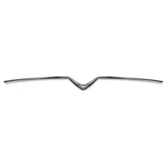 Baguette et bande protectrice, grille de radiateur BLIC 6502-07-0563991P