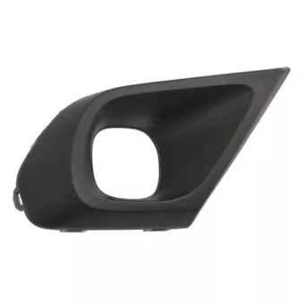 BLIC 6502-07-1306912P - Cadre, projecteur antibrouillard avant