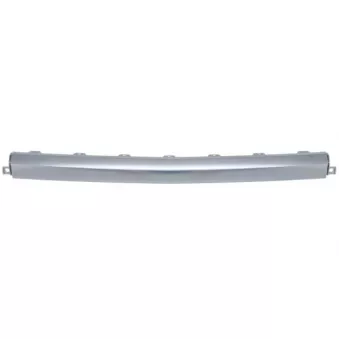 Baguette et bande protectrice, grille de radiateur BLIC OEM 86569S2600