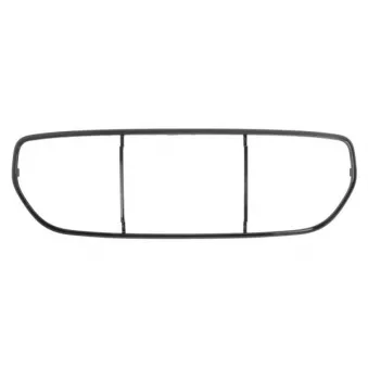 BLIC 6502-07-4002915P - Baguette et bande protectrice, grille de radiateur