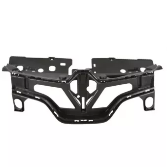 Grille de radiateur BLIC 6502-07-6009993P