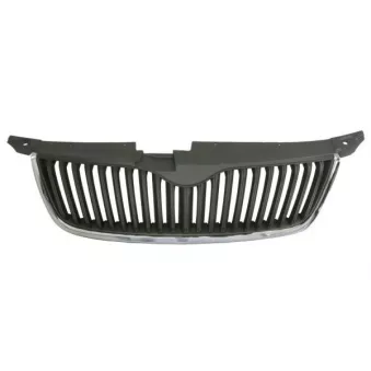 Grille de radiateur BLIC 6502-07-7535990P