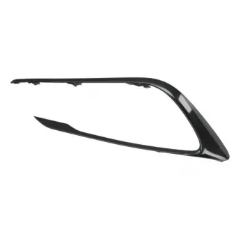 Baguette et bande protectrice, pare-chocs avant gauche BLIC 6502-07-8118921P