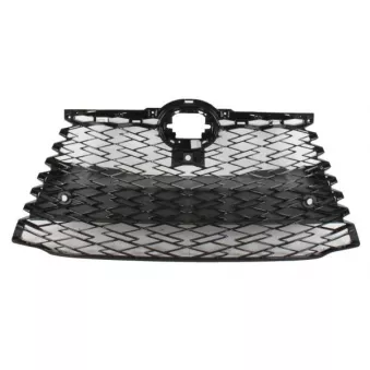 Grille de radiateur BLIC 6502-07-8126990P