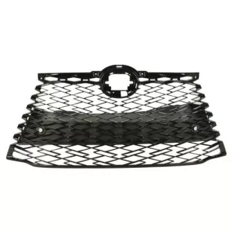 Grille de radiateur BLIC 6502-07-8126991P