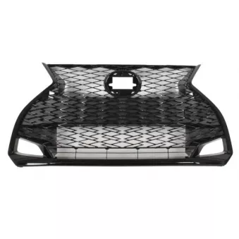 Grille de radiateur BLIC 6502-07-8173992P