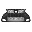 BLIC 6502-07-8173994P - Grille de radiateur