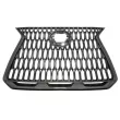 Grille de radiateur BLIC [6502-07-8268993P]