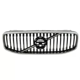 Grille de radiateur BLIC 6502-07-9058993P