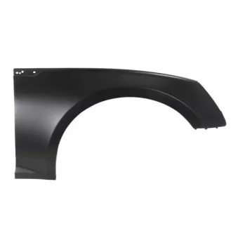 Aile avant droit BLIC 6504-04-0038314P